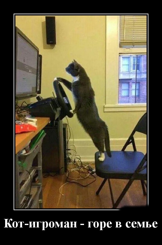 Podborka luchshikh demotivatorov 511 038